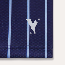 Load image into Gallery viewer, Pin Stripe Mesh Sideline Shorts